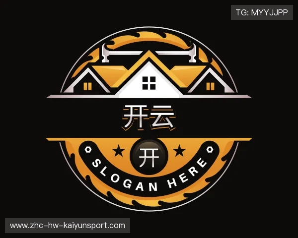 介绍开云世界杯合作伙伴