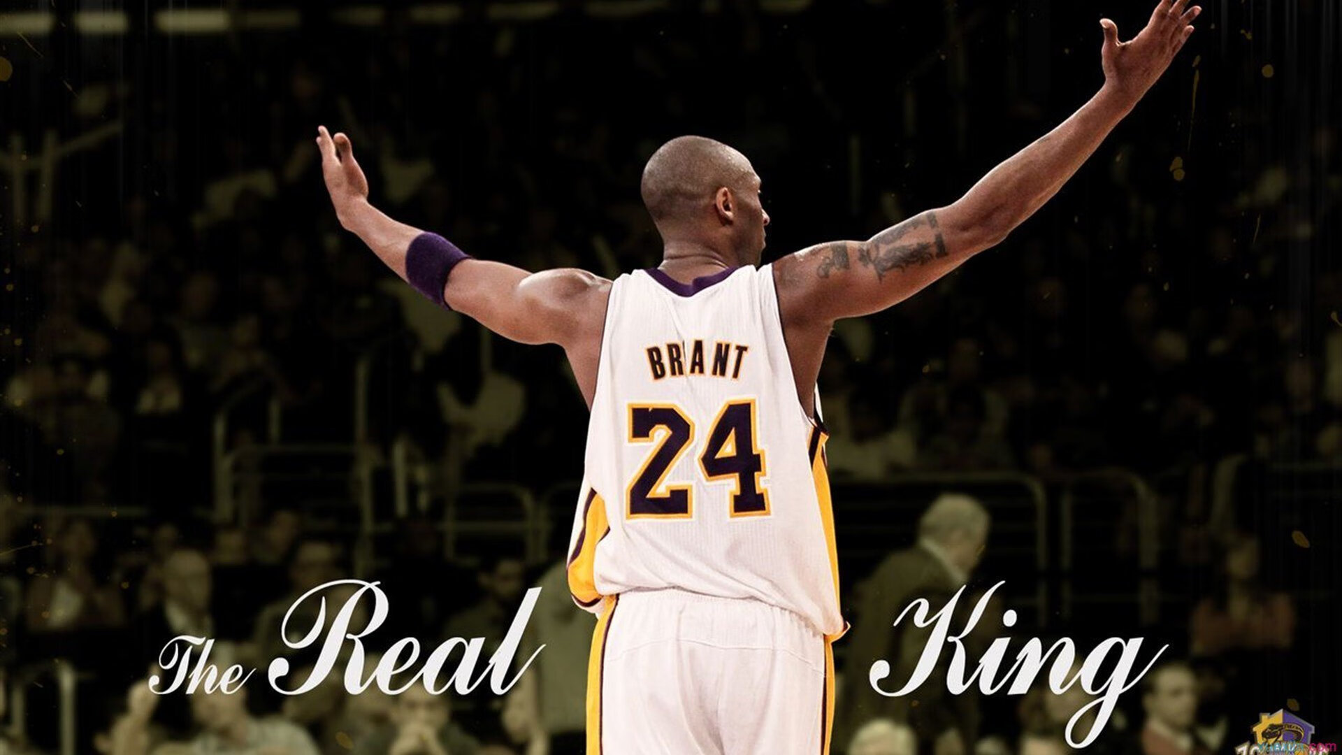 右边锋身手不凡！球员纪录片发布，球迷直呼过瘾，右边路球员