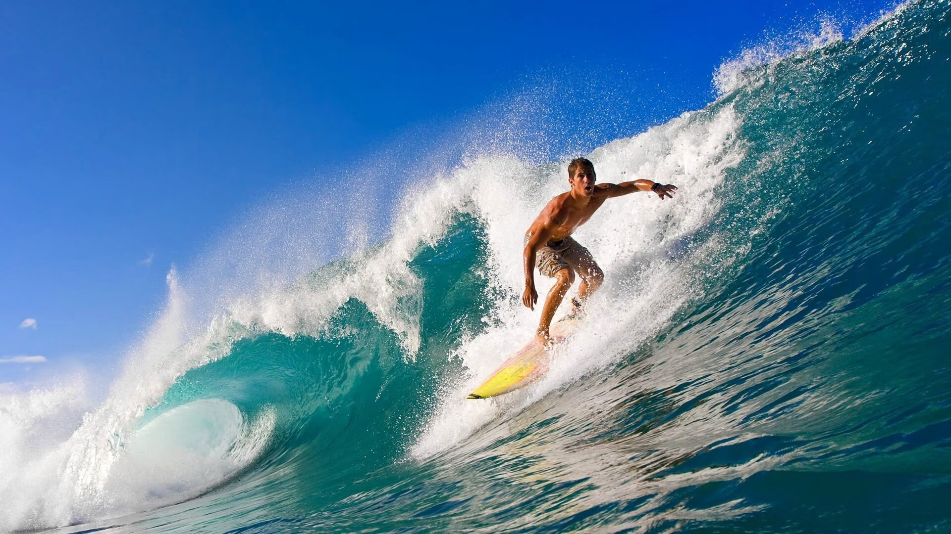 本周焦点：哪些球队值得关注？，哪些球队厉害