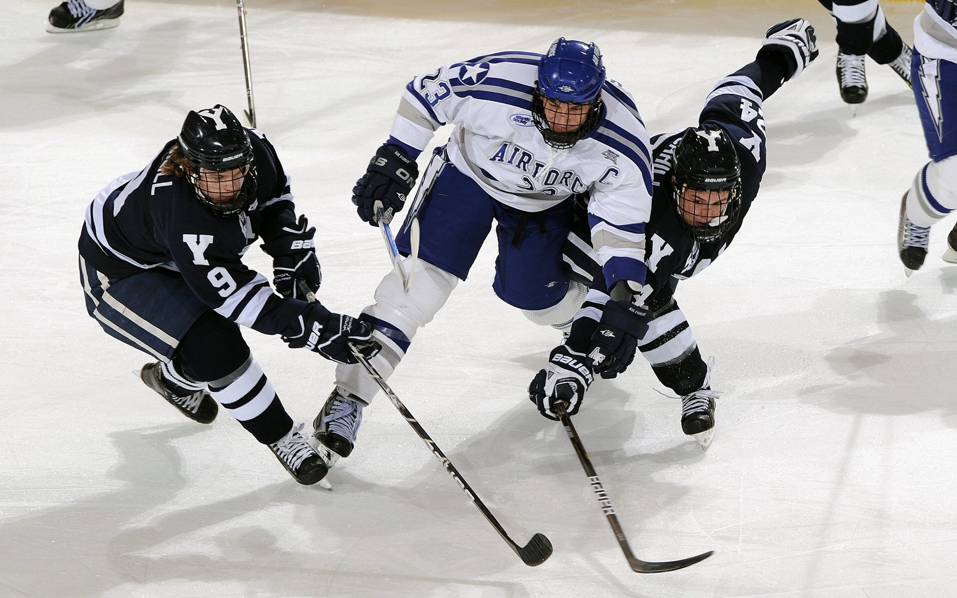 球迷“最期待”的年度对决赢家慢慢浮出水面！，球队球迷排行榜